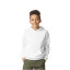 SOFTSTYLE® MIDWEIGHT FLEECE YOUTH HOODIE