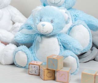 ZIPPIE NEW BABY BEAR